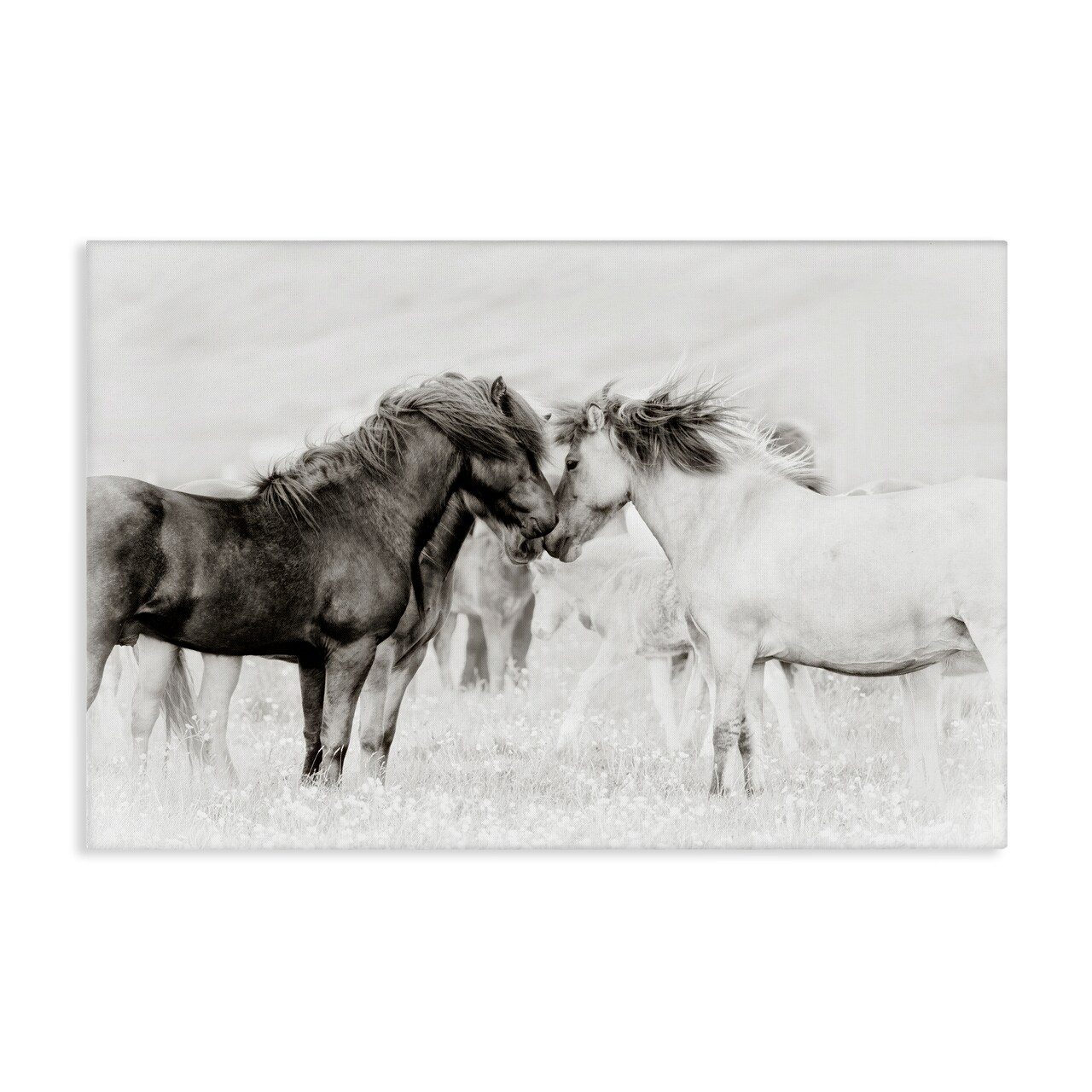 Stupell Industries Heartfelt Horses in Neutrals Canvas By PHBurchett